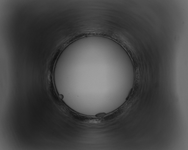 X0000100500692200806130730