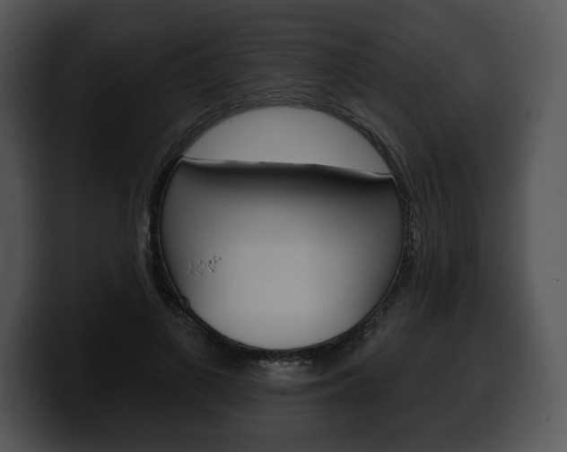 X0000100500693200806130730