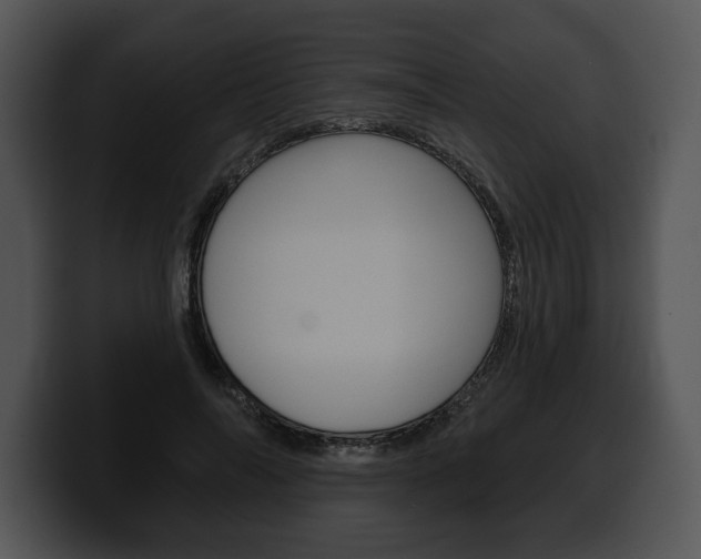 X0000100500694200806130730
