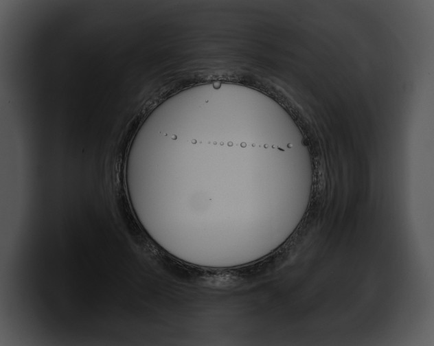 X0000100500695200806130730