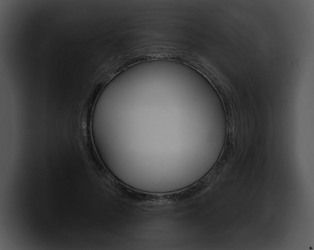 X0000100500696200806130730