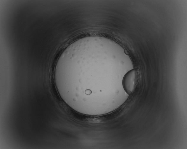 X0000100500698200806130730