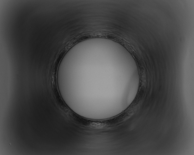 X0000100500699200806130730