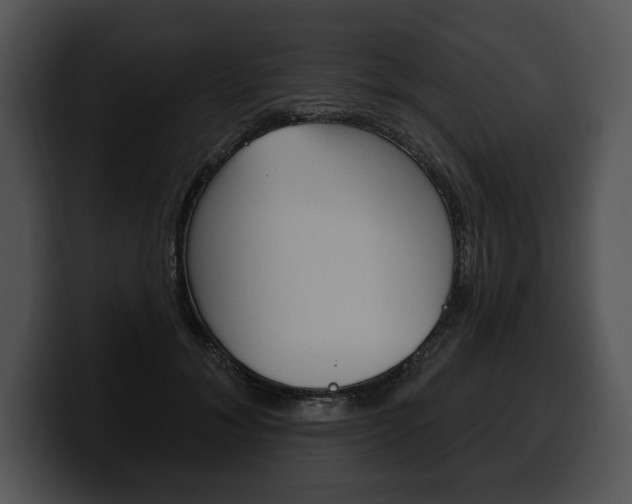 X0000100500700200806130730