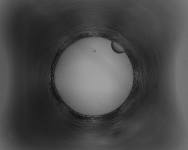 X0000100500702200806130730