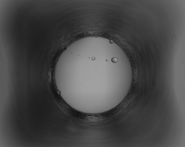 X0000100500703200806130730