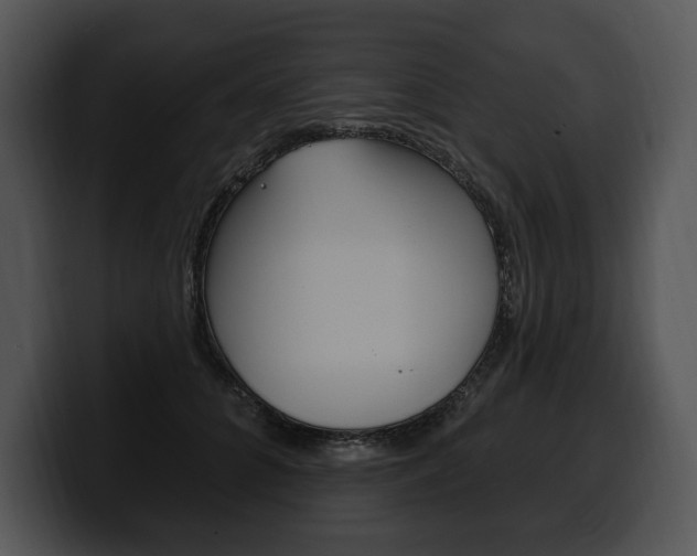 X0000100500704200806130730