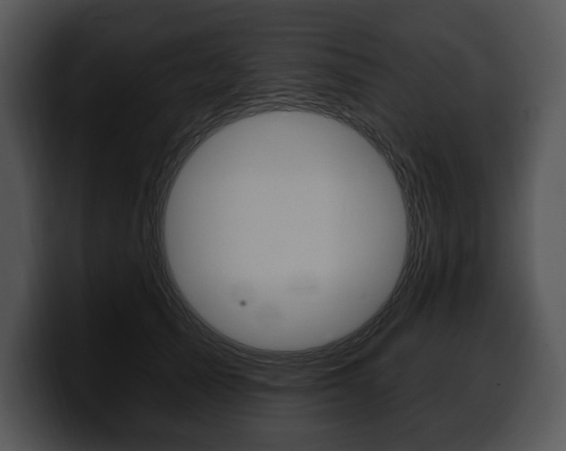 X0000100500705200806130730