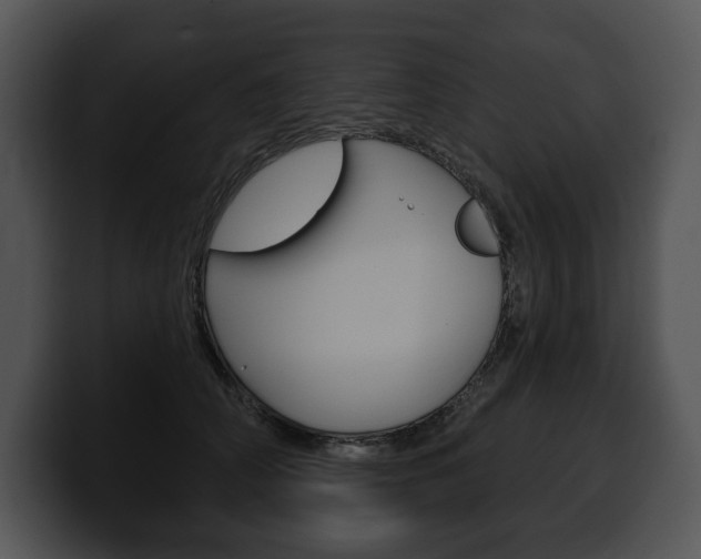 X0000100500706200806130730