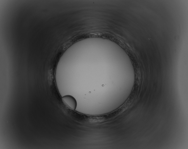 X0000100500707200806130730