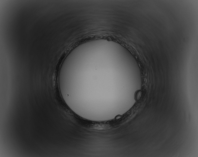 X0000100500708200806130730