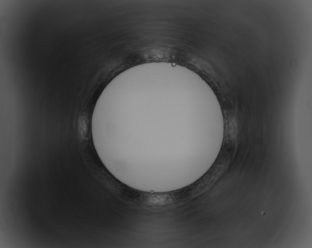 X0000100500709200806130730