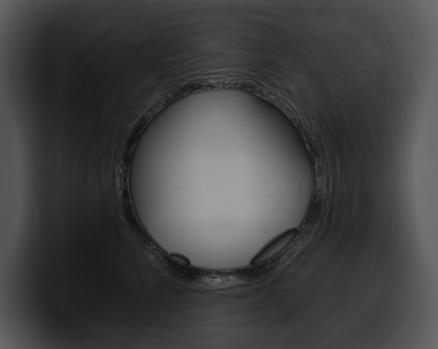 X0000100500712200806130729
