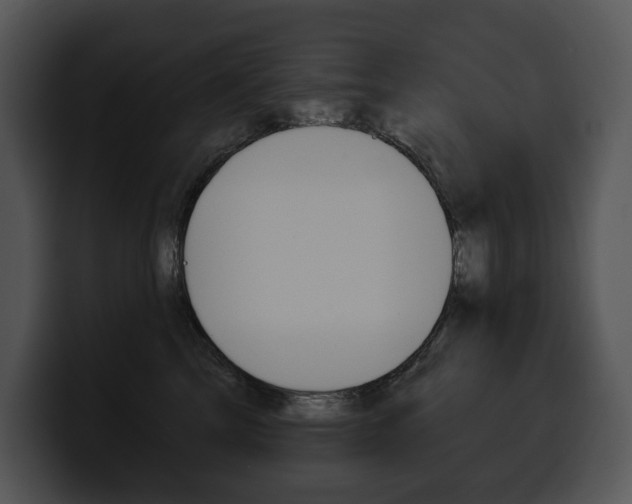 X0000100500713200806130729