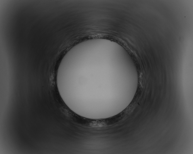 X0000100500714200806130729