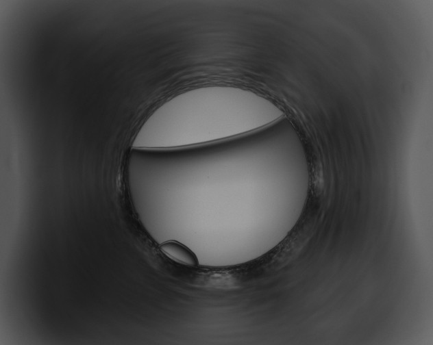 X0000100500715200806130729