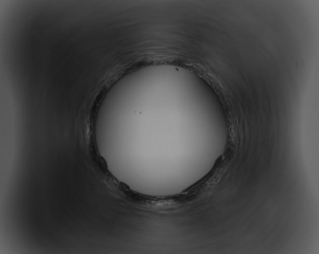 X0000100500716200806130729