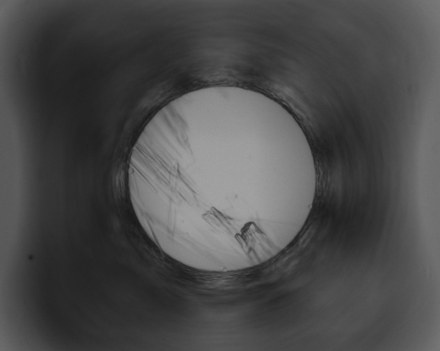 X0000100500717200806130729
