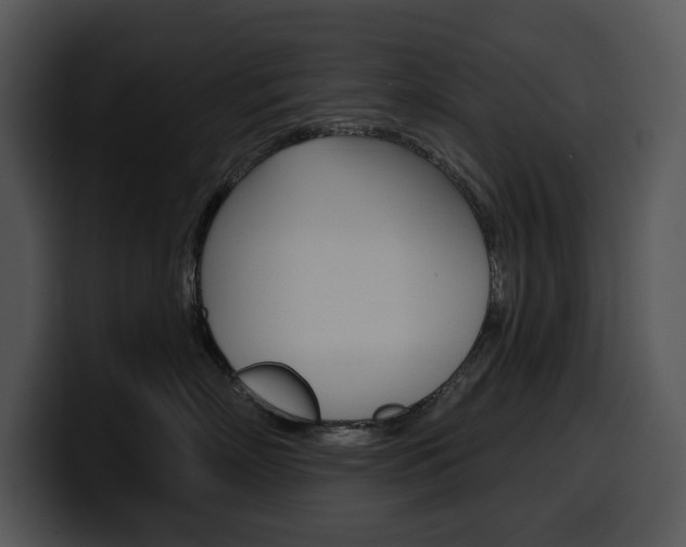 X0000100500718200806130729