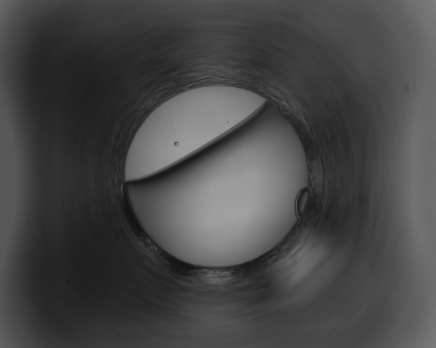 X0000100500719200806130729