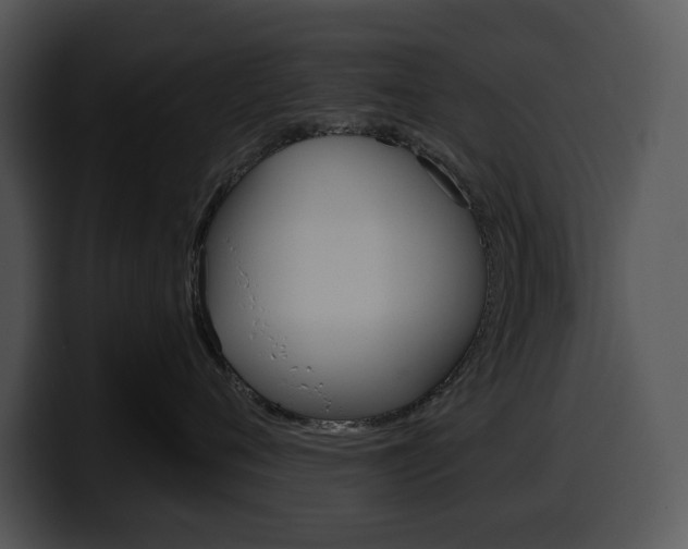 X0000100500720200806130729