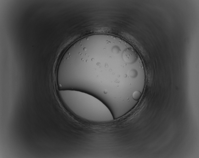 X0000100500721200806130729