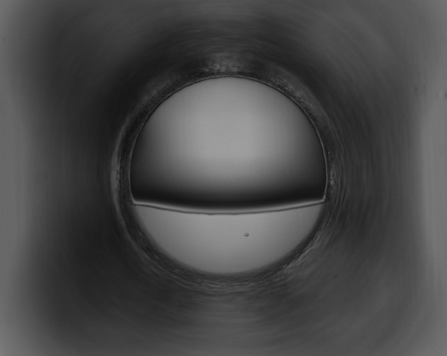 X0000100500722200806130729