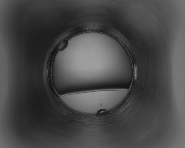 X0000100500723200806130729