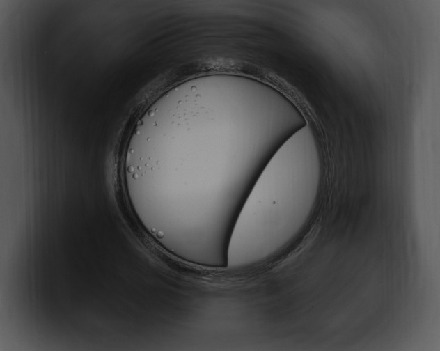X0000100500725200806130729