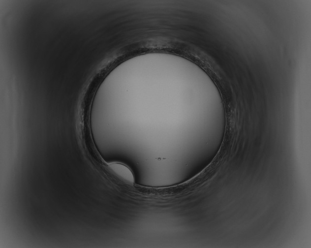 X0000100500727200806130729