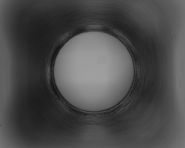X0000100500729200806130729
