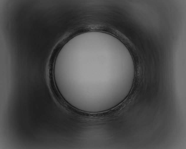 X0000100500730200806130729