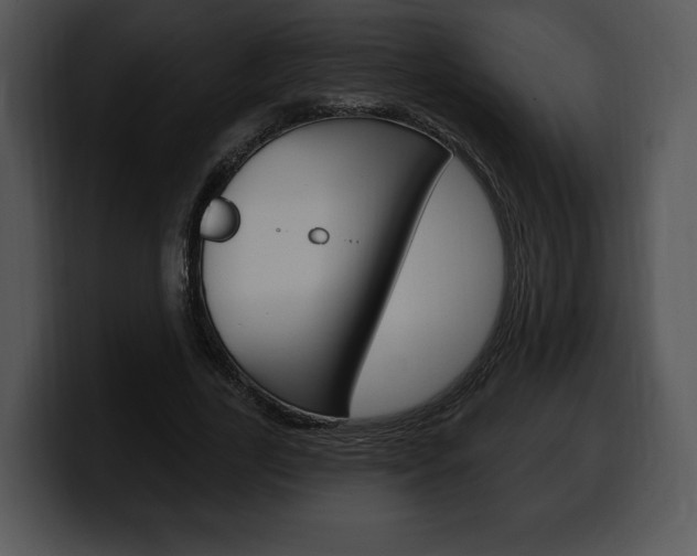 X0000100500731200806130729