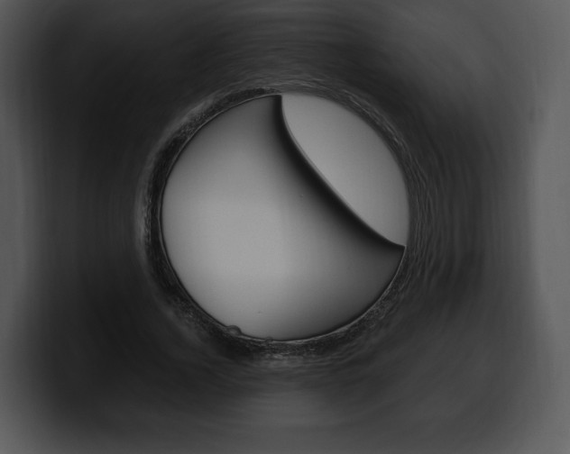 X0000100500732200806130729