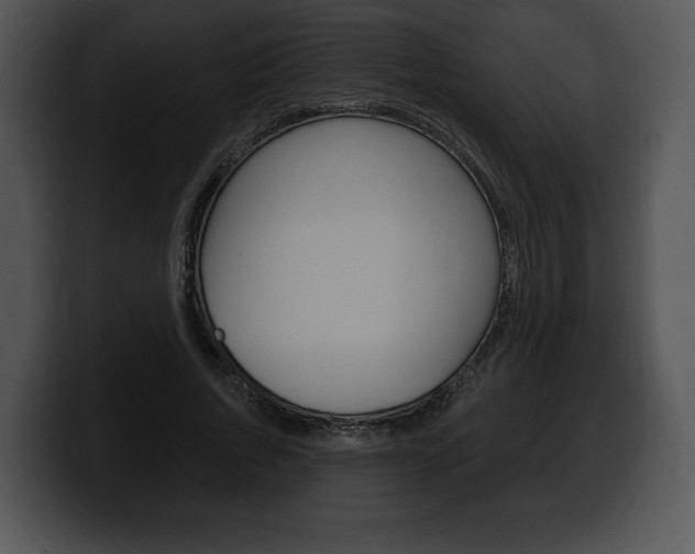 X0000100500736200806130729