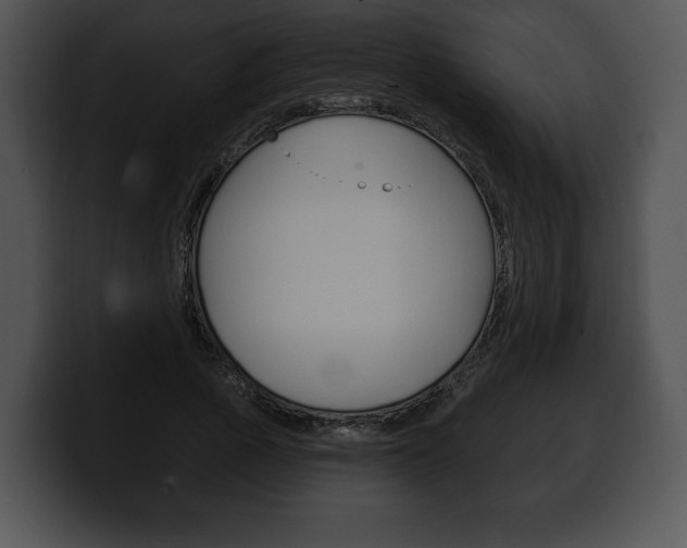 X0000100500737200806130729