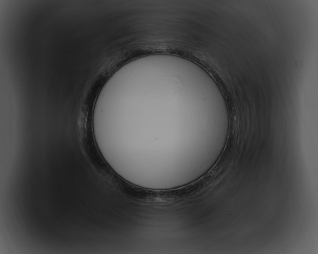 X0000100500739200806130729