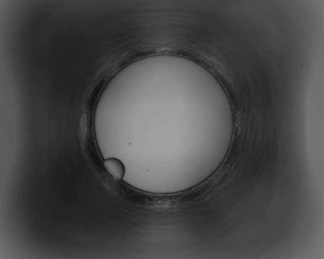 X0000100500740200806130729