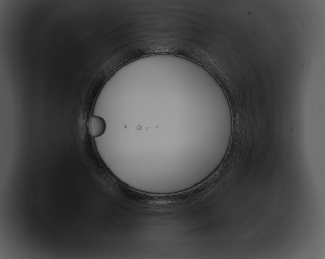 X0000100500741200806130729