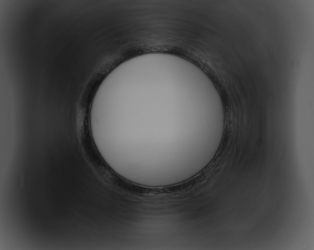 X0000100500742200806130729