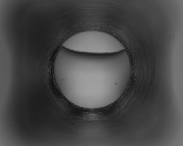 X0000100500743200806130729