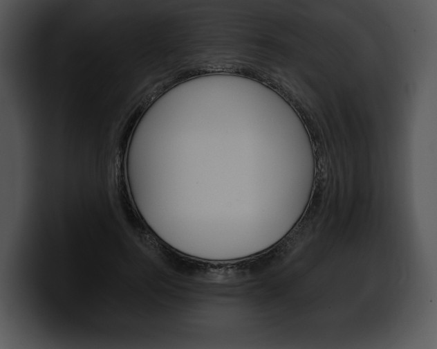 X0000100500744200806130729