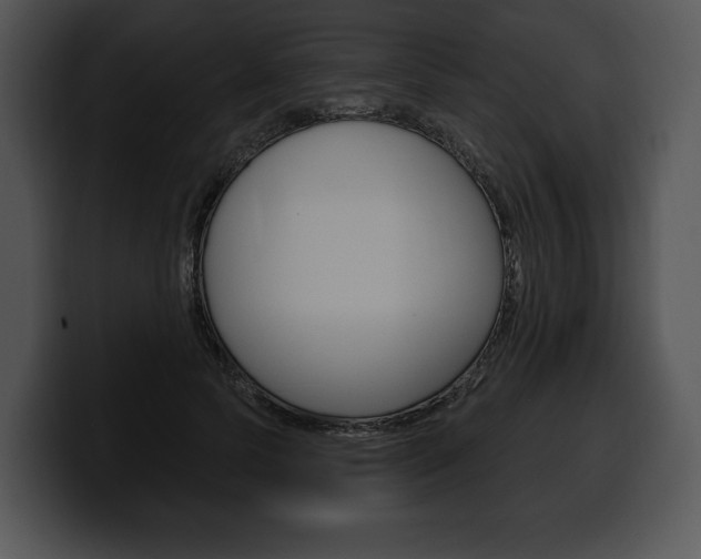 X0000100500745200806130729