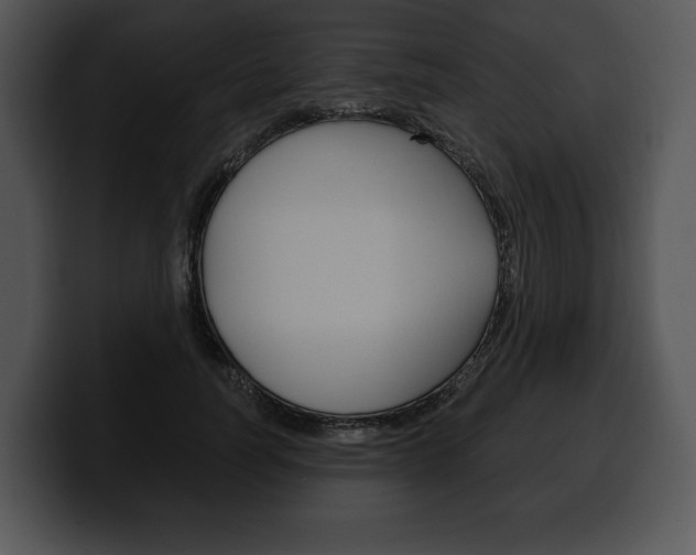 X0000100500746200806130729