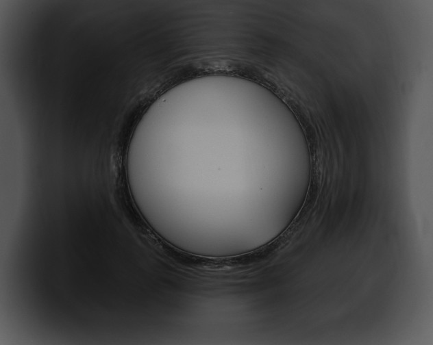 X0000100500747200806130729