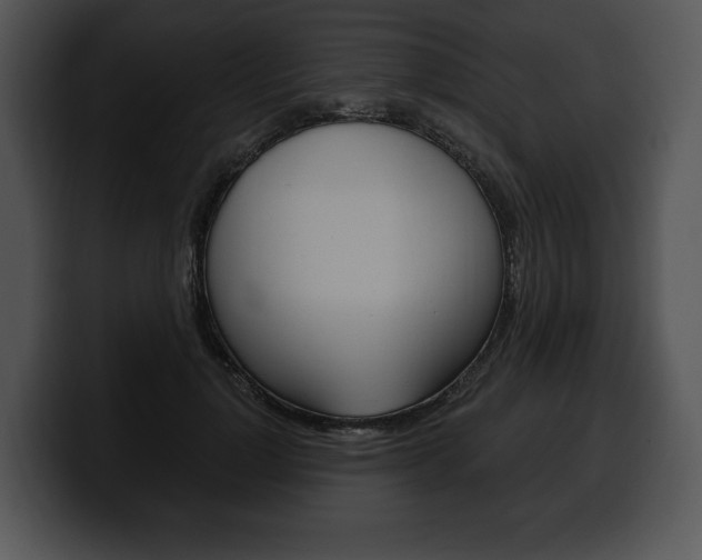 X0000100500748200806130729
