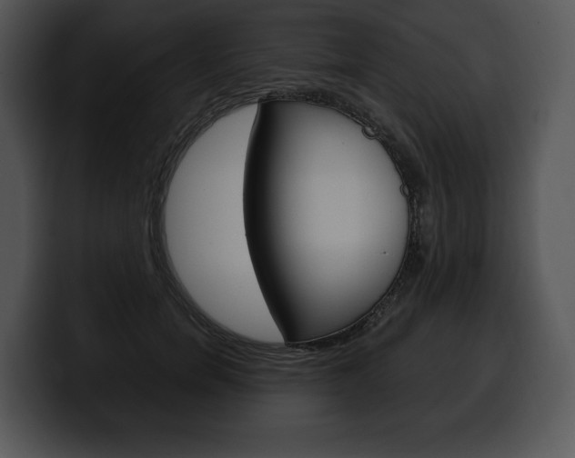 X0000100500750200806130729