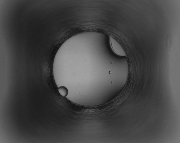 X0000100500751200806130729