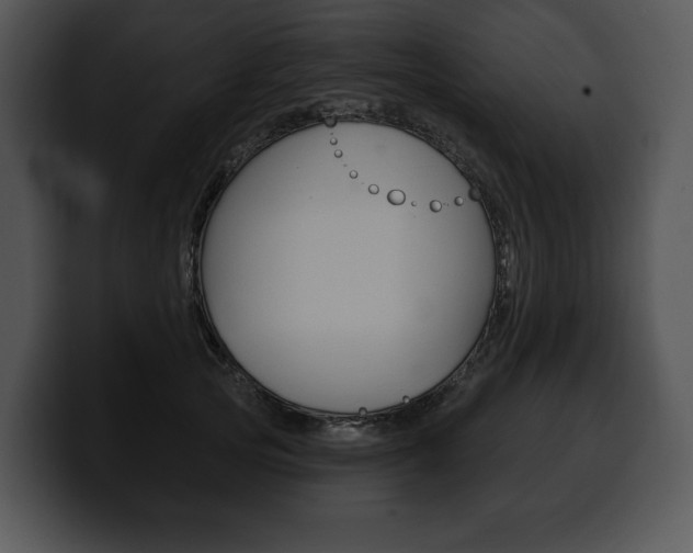 X0000100500753200806130729