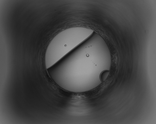 X0000100500754200806130729